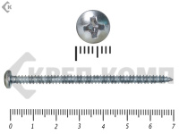 Шуруп с полукруглой головкой DIN7981 4,2х70 (10шт)